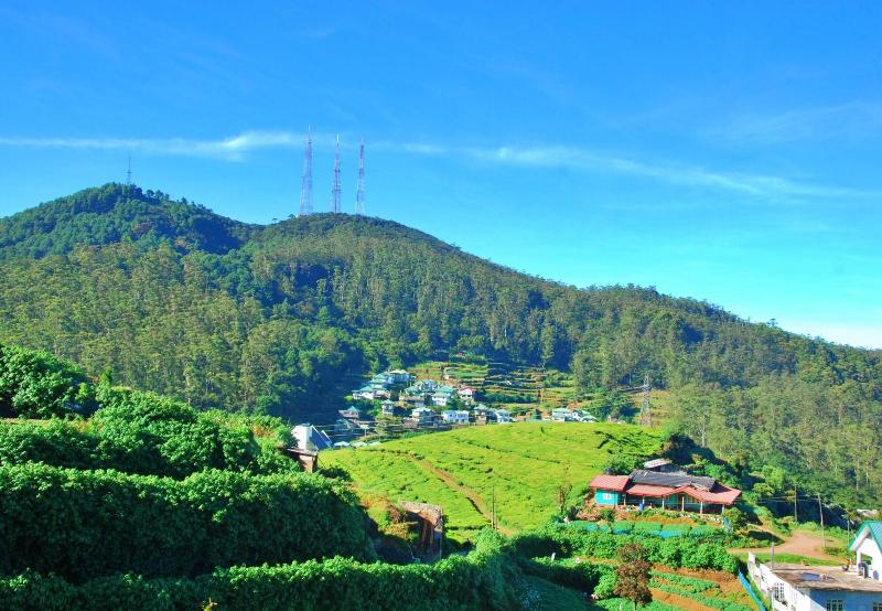 Cottage San Francesco image