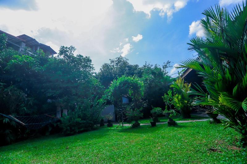 Palitha Guesthouse Hotel Dandeliona — photo 3