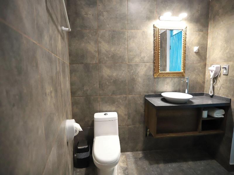 Casa Andina Standard Ica image