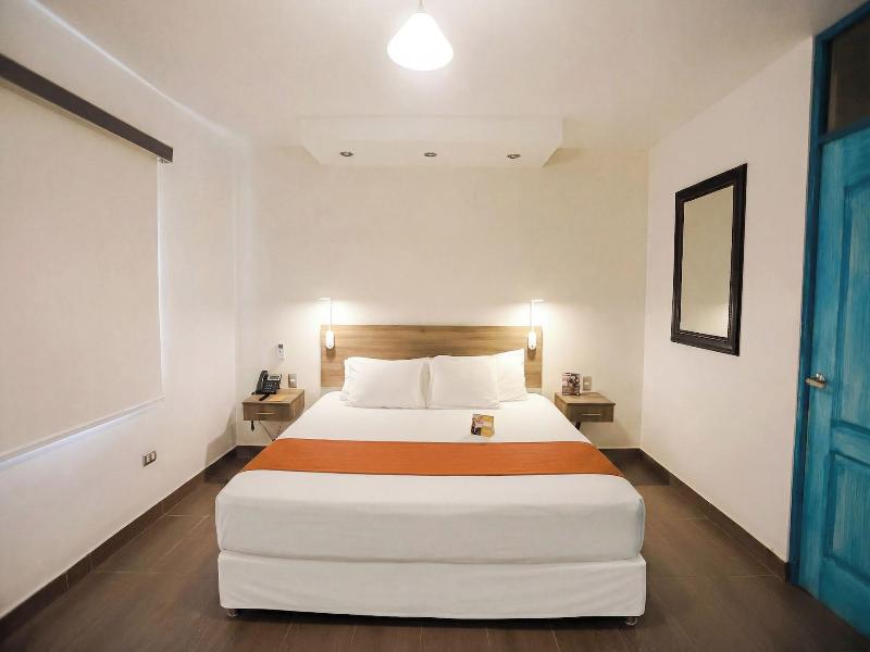 Casa Andina Standard Ica image