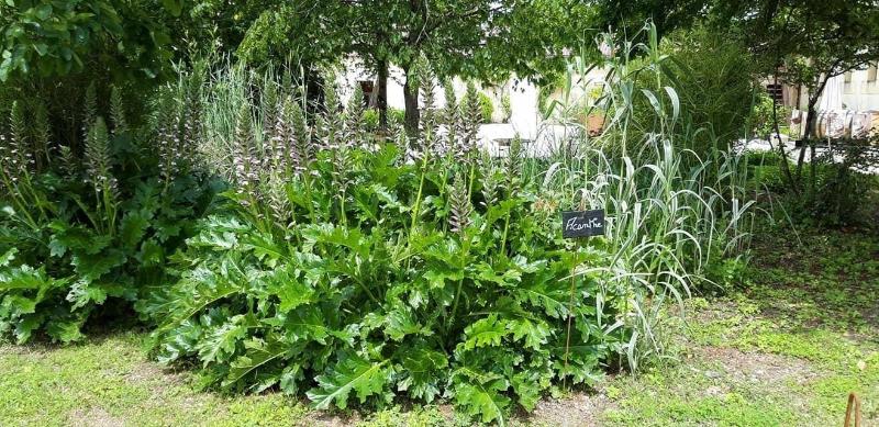 Le Logis Des Bessons image