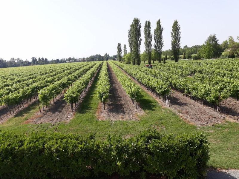 Le Logis Des Bessons image