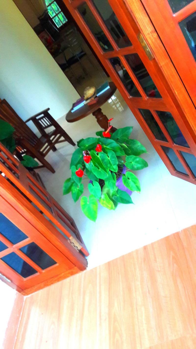 Fresh Air Villa Guest House image