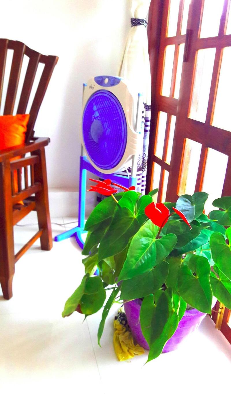 Fresh Air Villa Guest House image