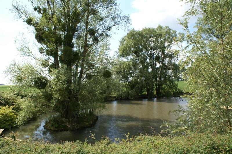 La Ferme Briarde image