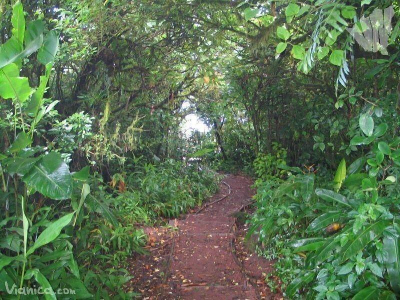 Mombacho Lodge image