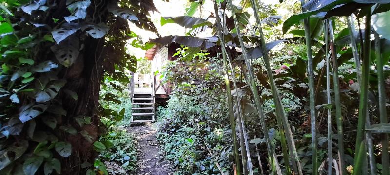 Mombacho Lodge image
