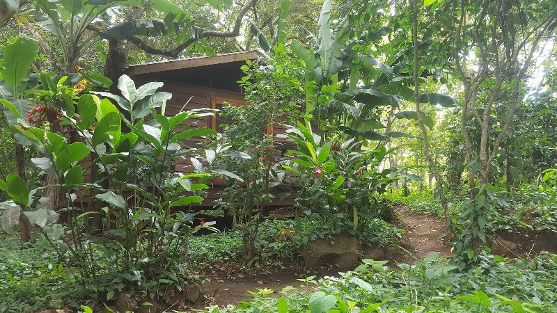 Mombacho Lodge image