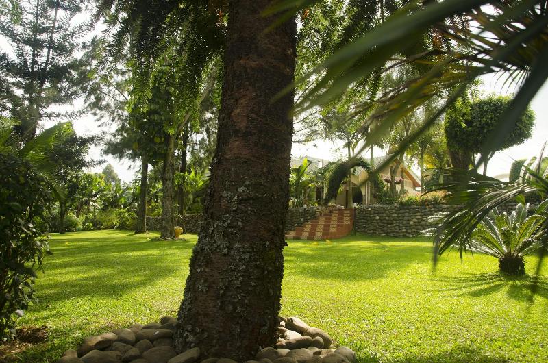 Sheevy S Bed N Breakfast image