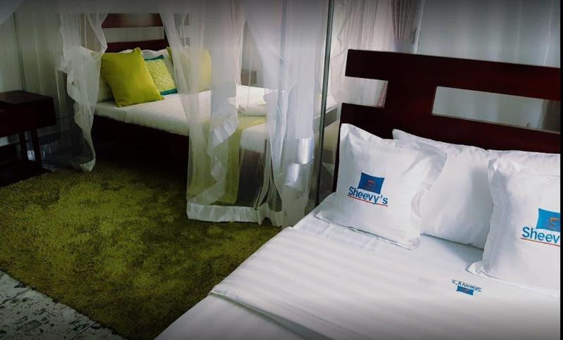 Sheevy S Bed N Breakfast image