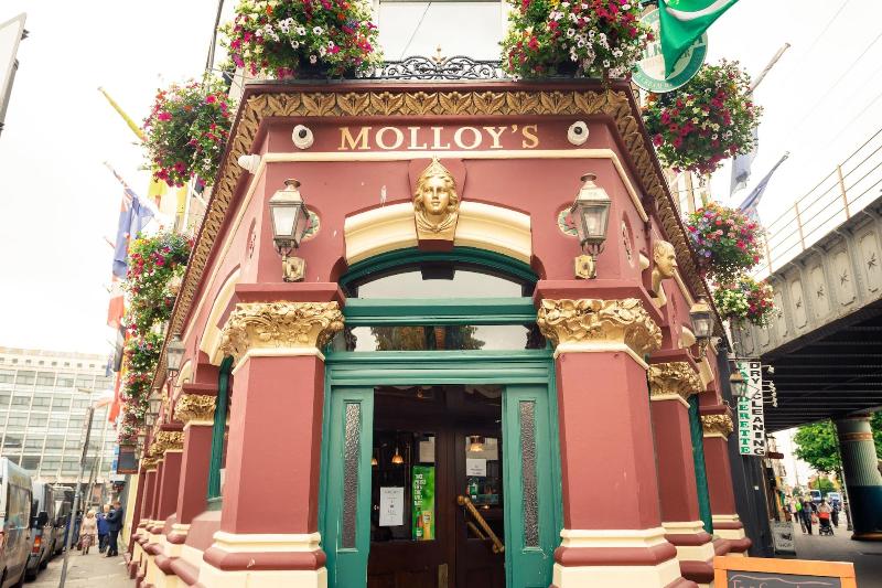 Molloy S Apartments image