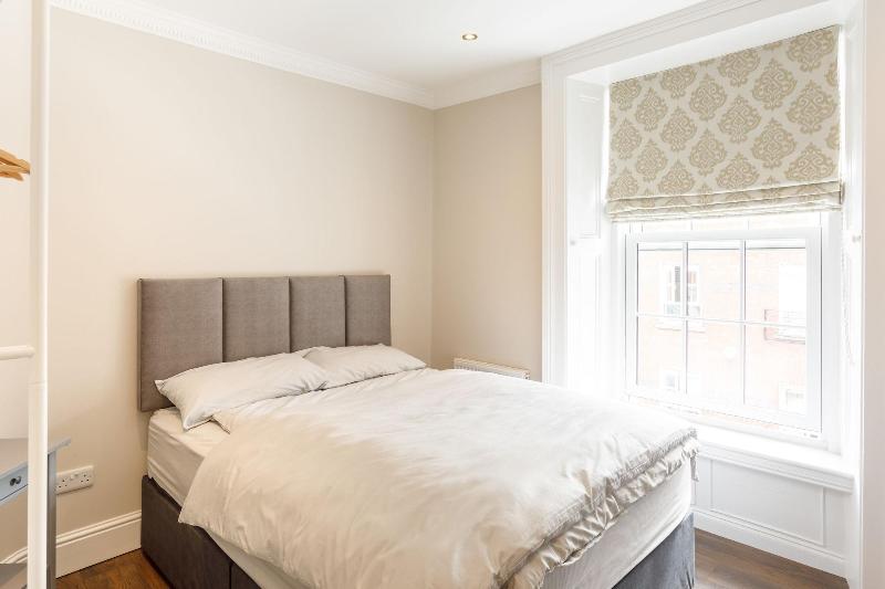 Molloy S Apartments image