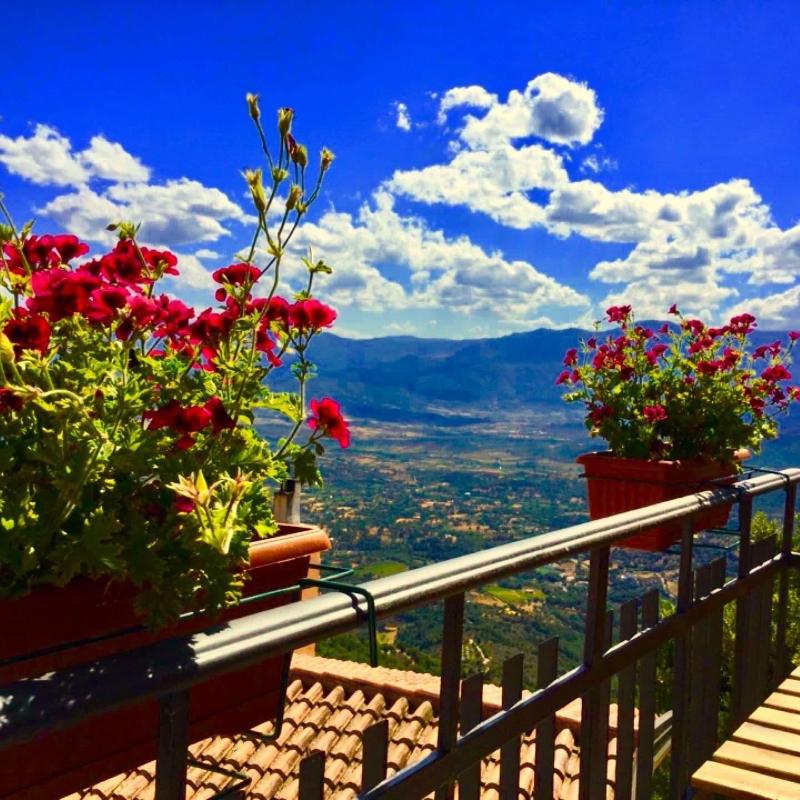 Bed Breakfast Selvaggio Blu image