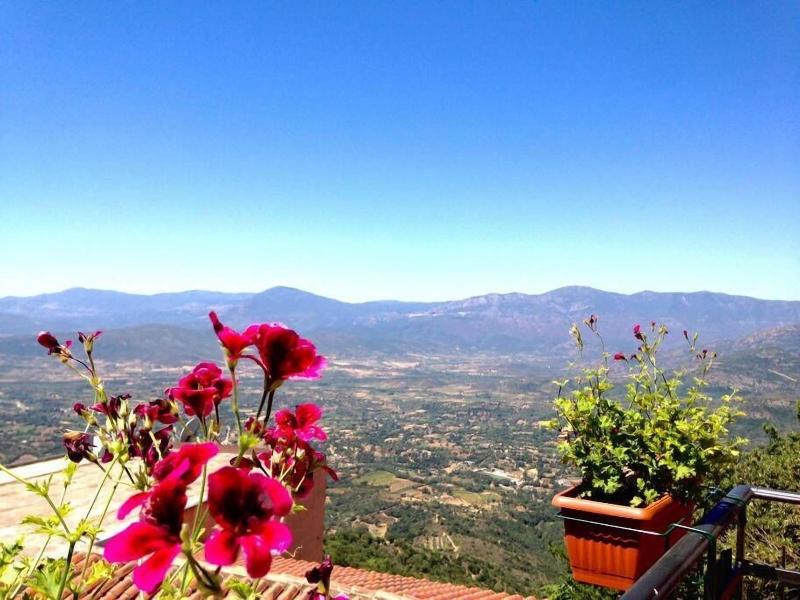 Bed Breakfast Selvaggio Blu image