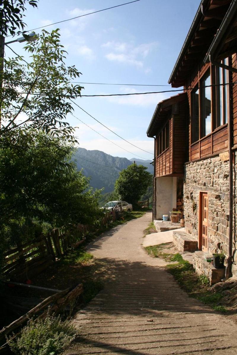 Albergue Les Xendes Parque De Redes image