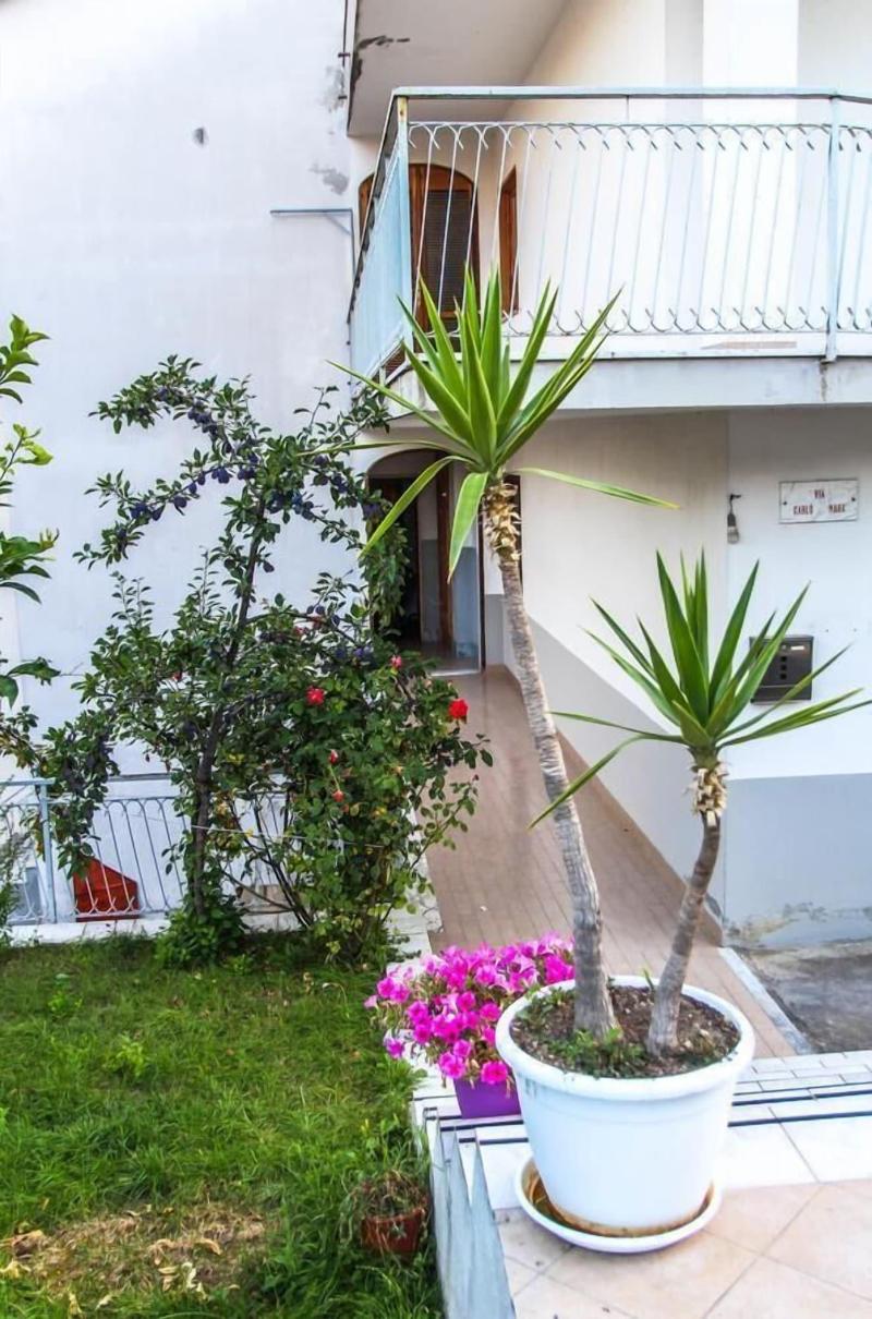 B B Villa Pignataro image