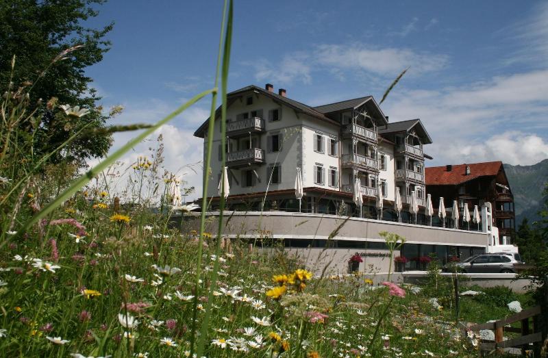 The Alpina Mountain Resort image