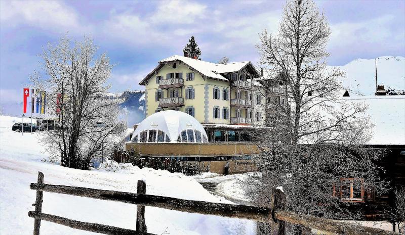 The Alpina Mountain Resort image