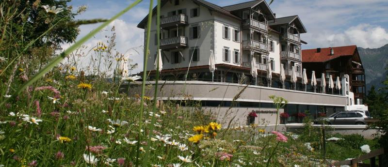 The Alpina Mountain Resort image
