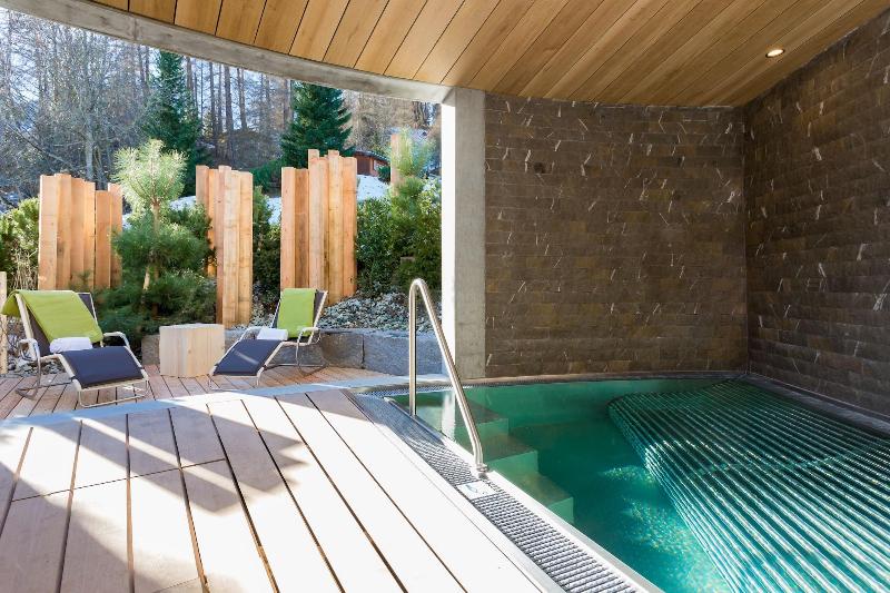 The Alpina Mountain Resort image