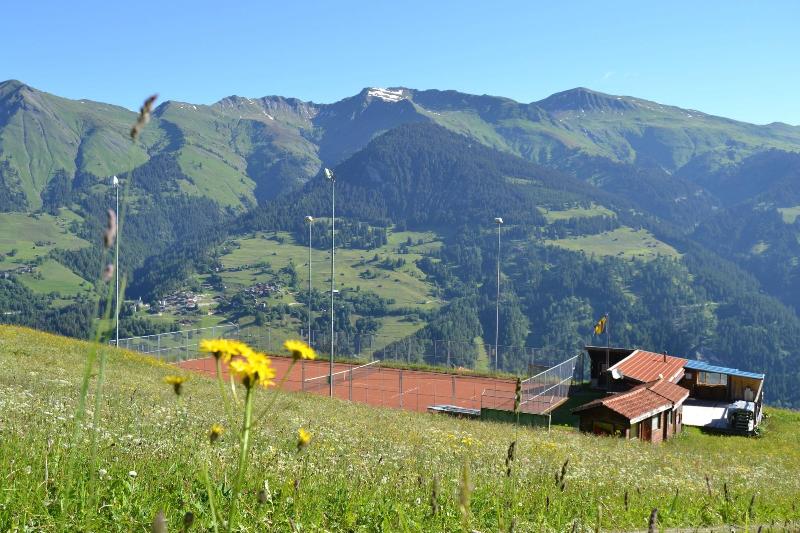 The Alpina Mountain Resort image