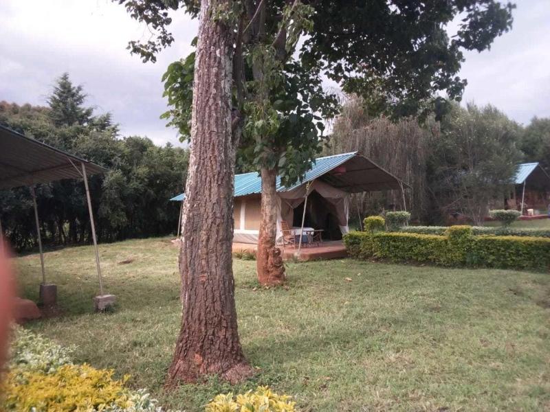 Spice Garden image