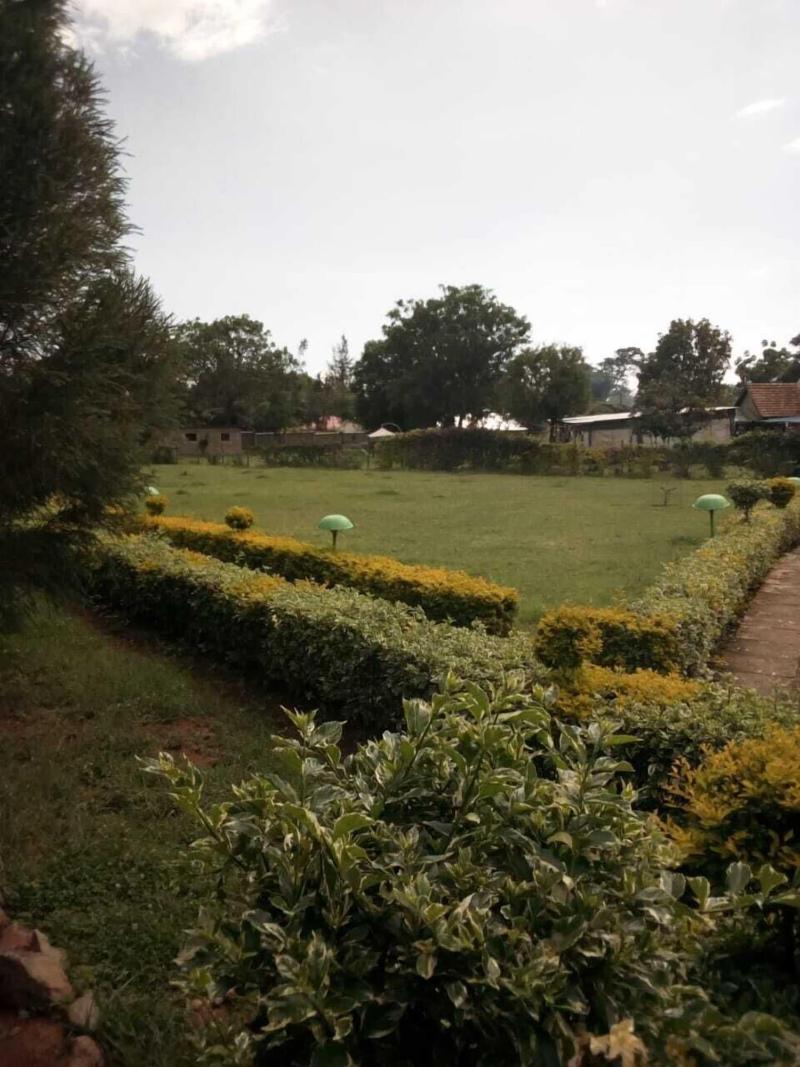 Spice Garden image