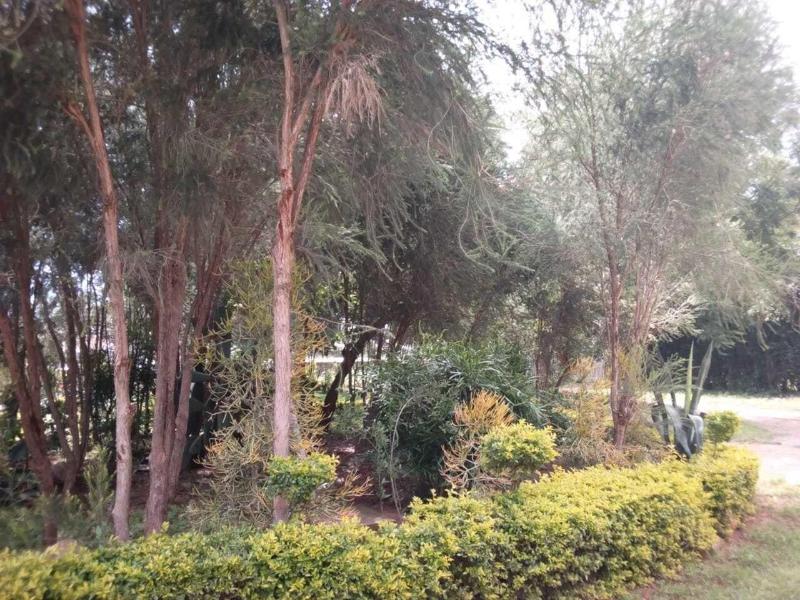 Spice Garden image