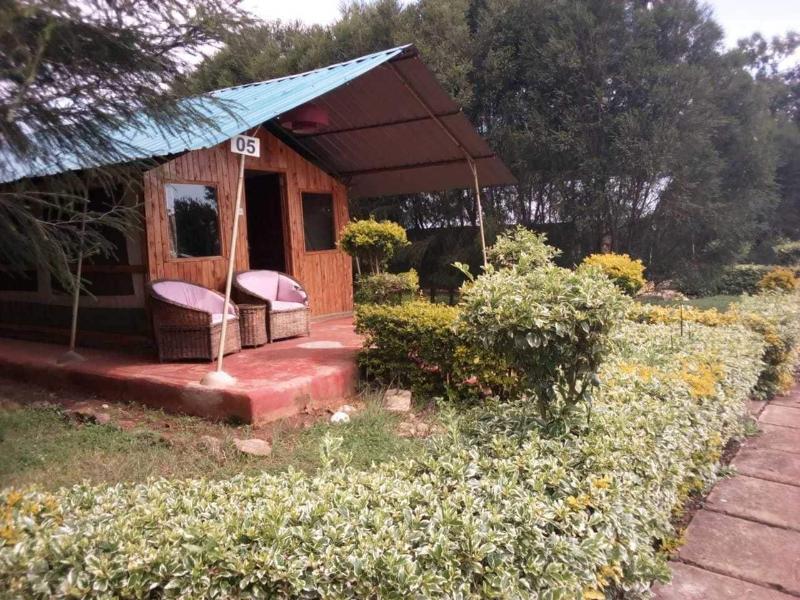 Spice Garden image