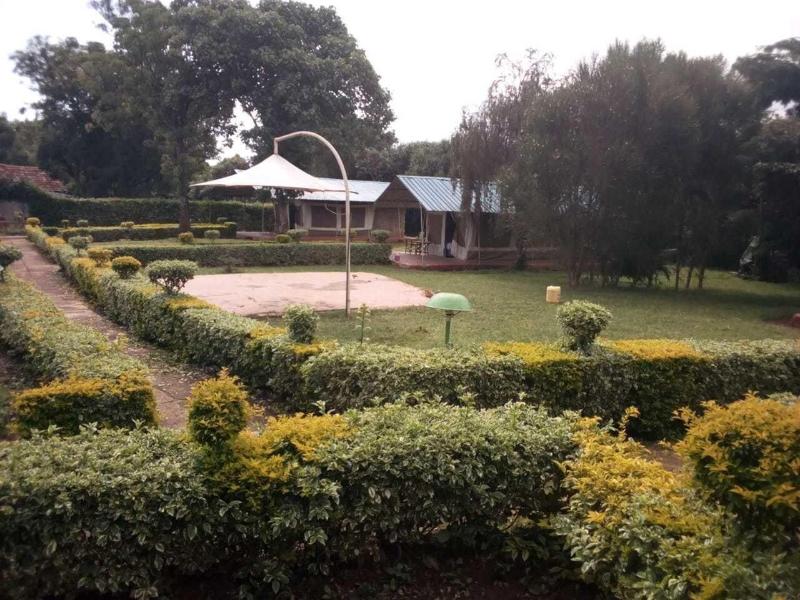 Spice Garden image