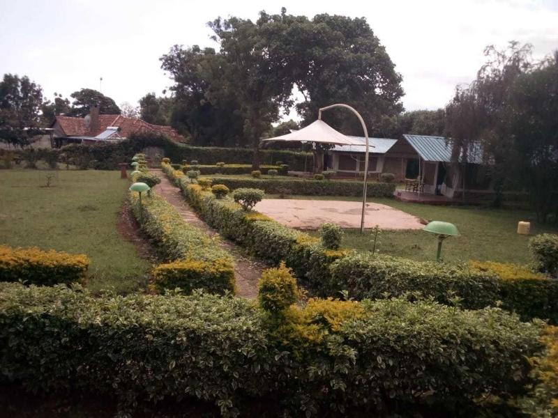 Spice Garden image
