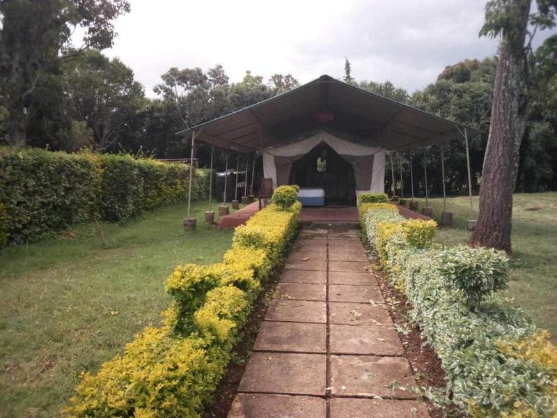 Spice Garden image