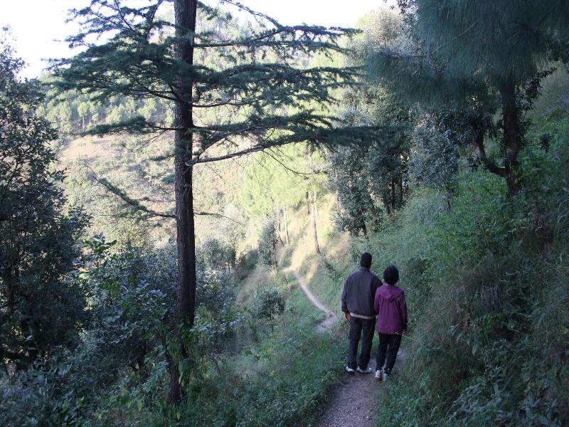 Park Woods Shoghi image
