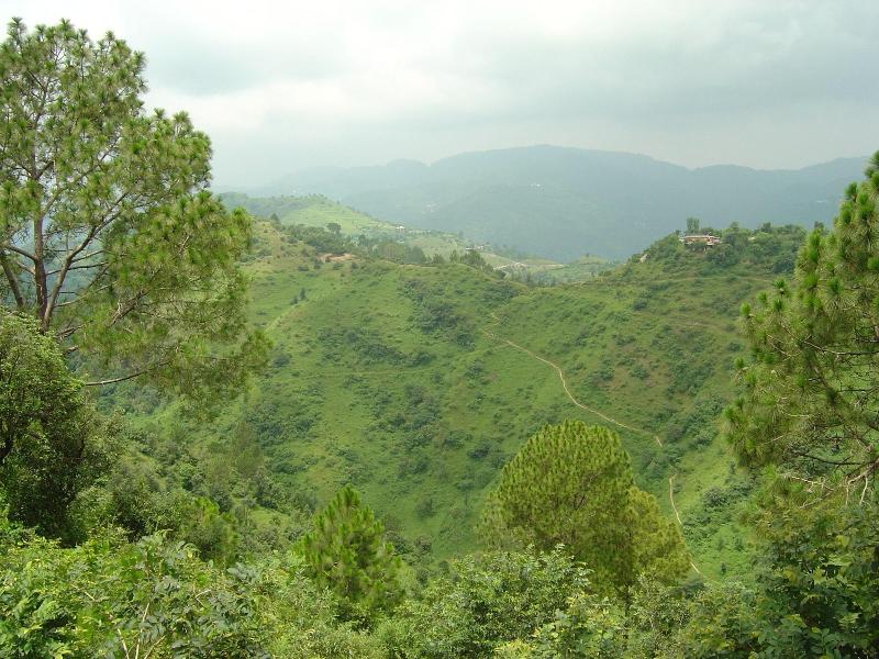 Park Woods Shoghi image