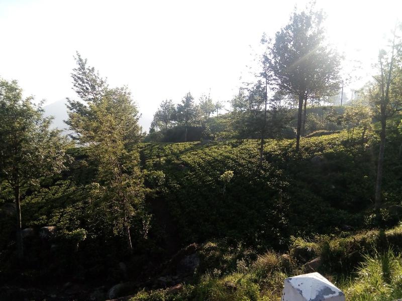 Adisham Village Home image