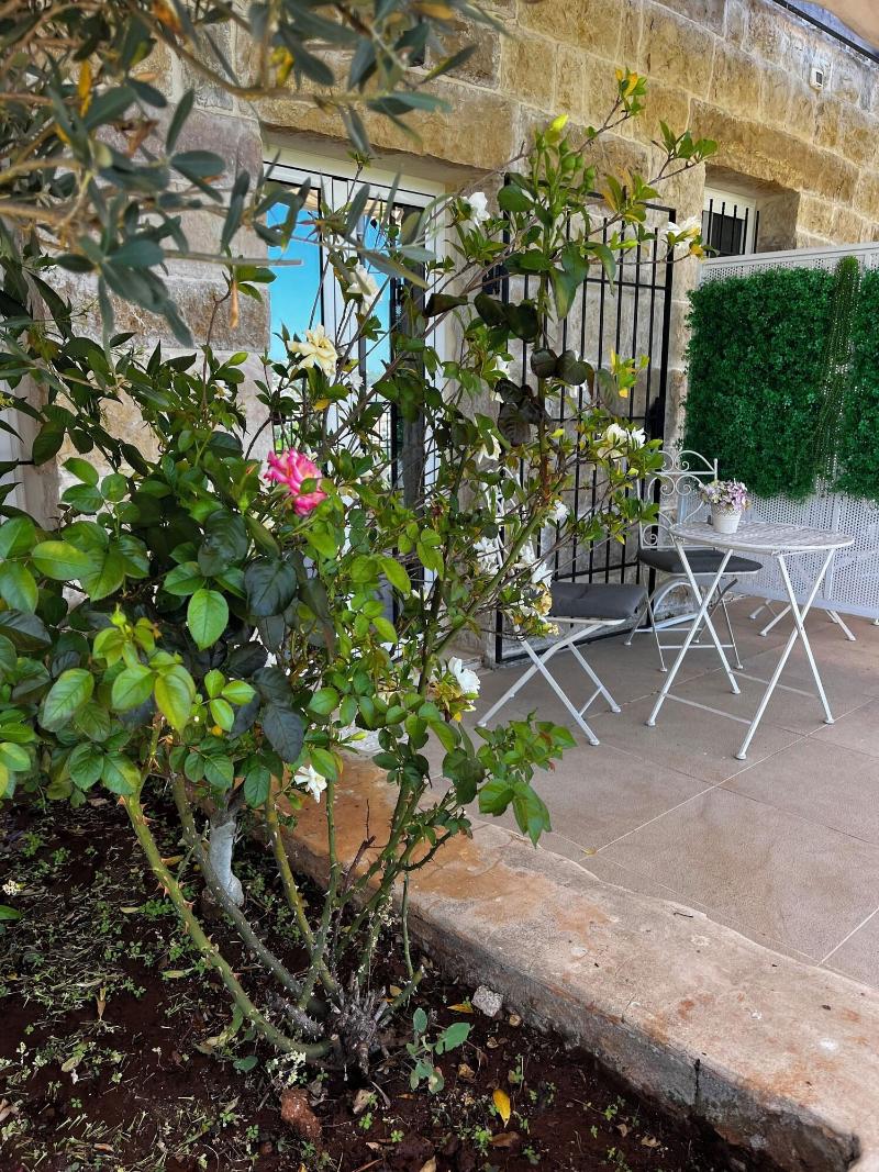 Beit Lebbos image