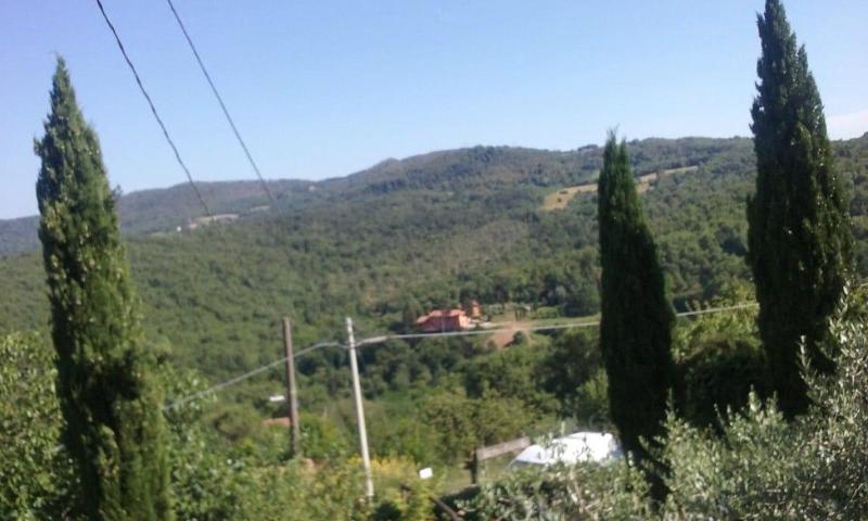 Latera B B image