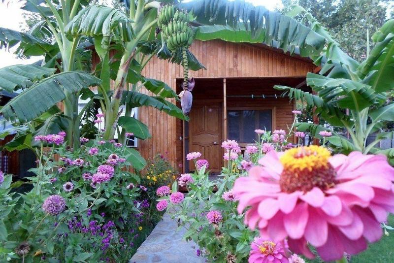Estelar Bungalow — general view