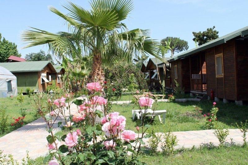 Estelar Bungalow — general view