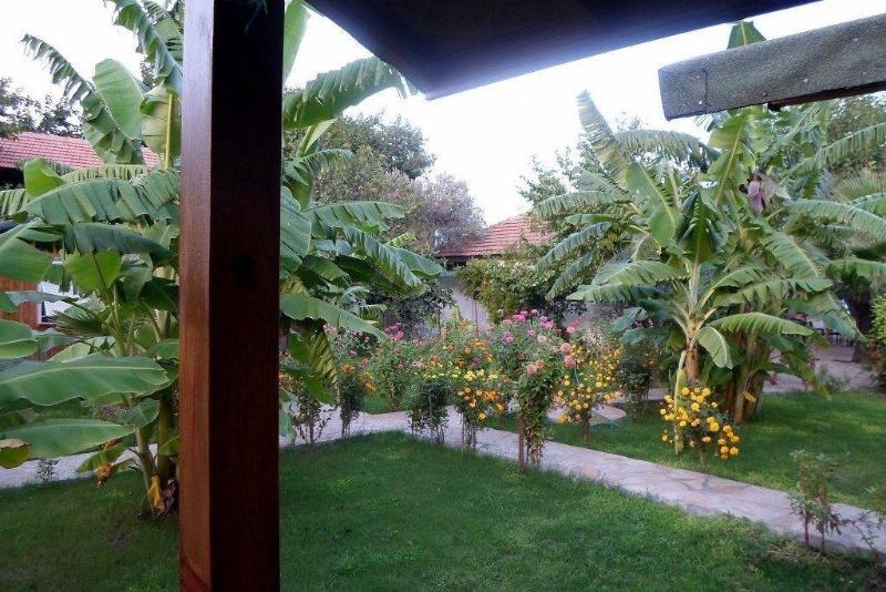 Estelar Bungalow — photo 11