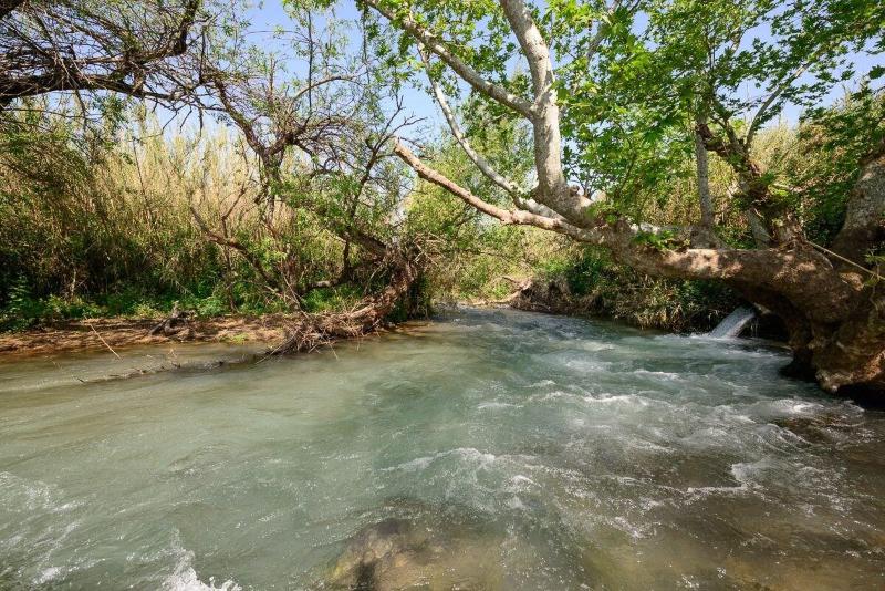 Magical In The Galilee image