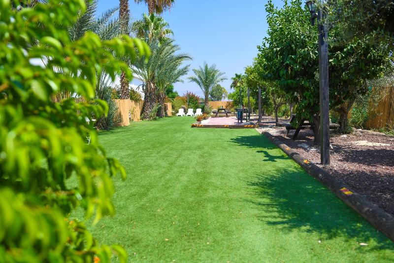 Magical In The Galilee image