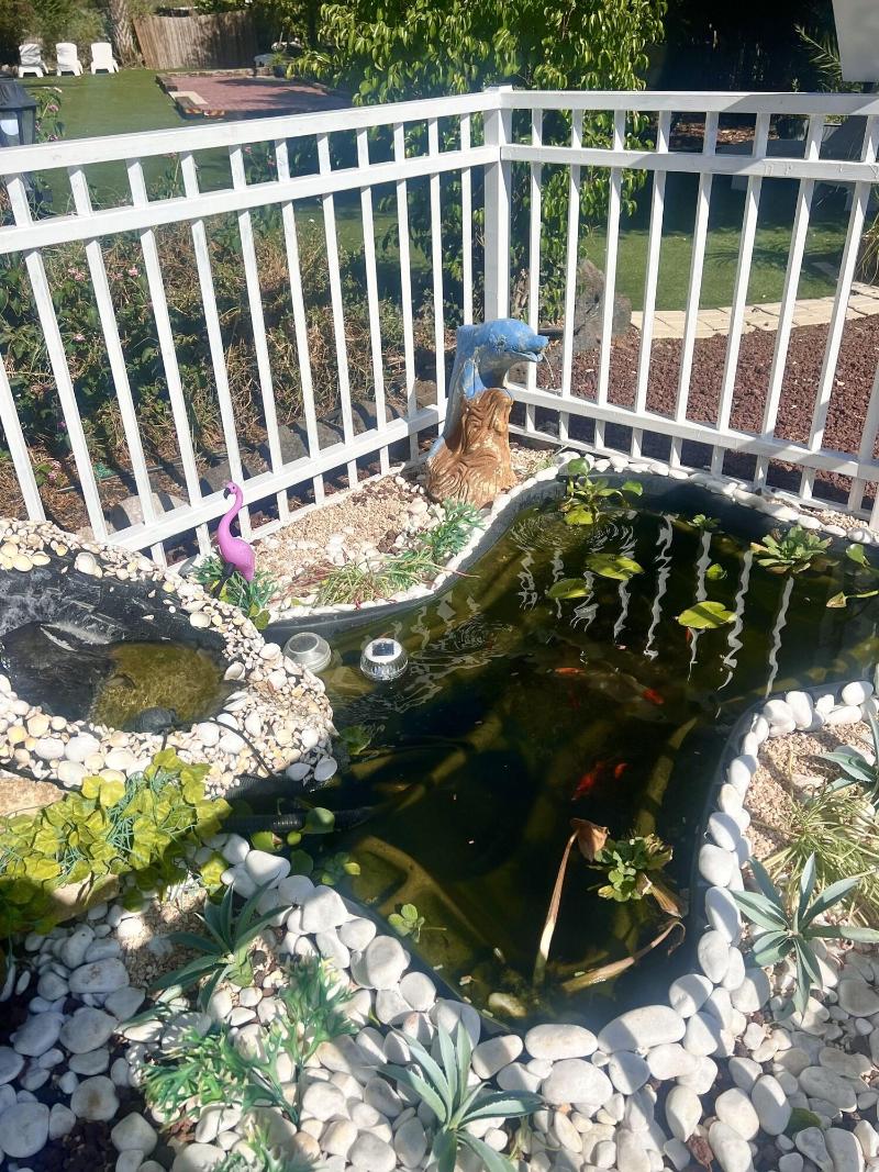 Magical In The Galilee image
