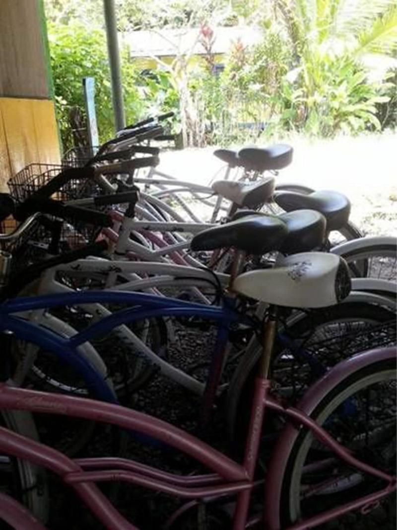 Cabinas Manzanillo Caribe Sur Cr