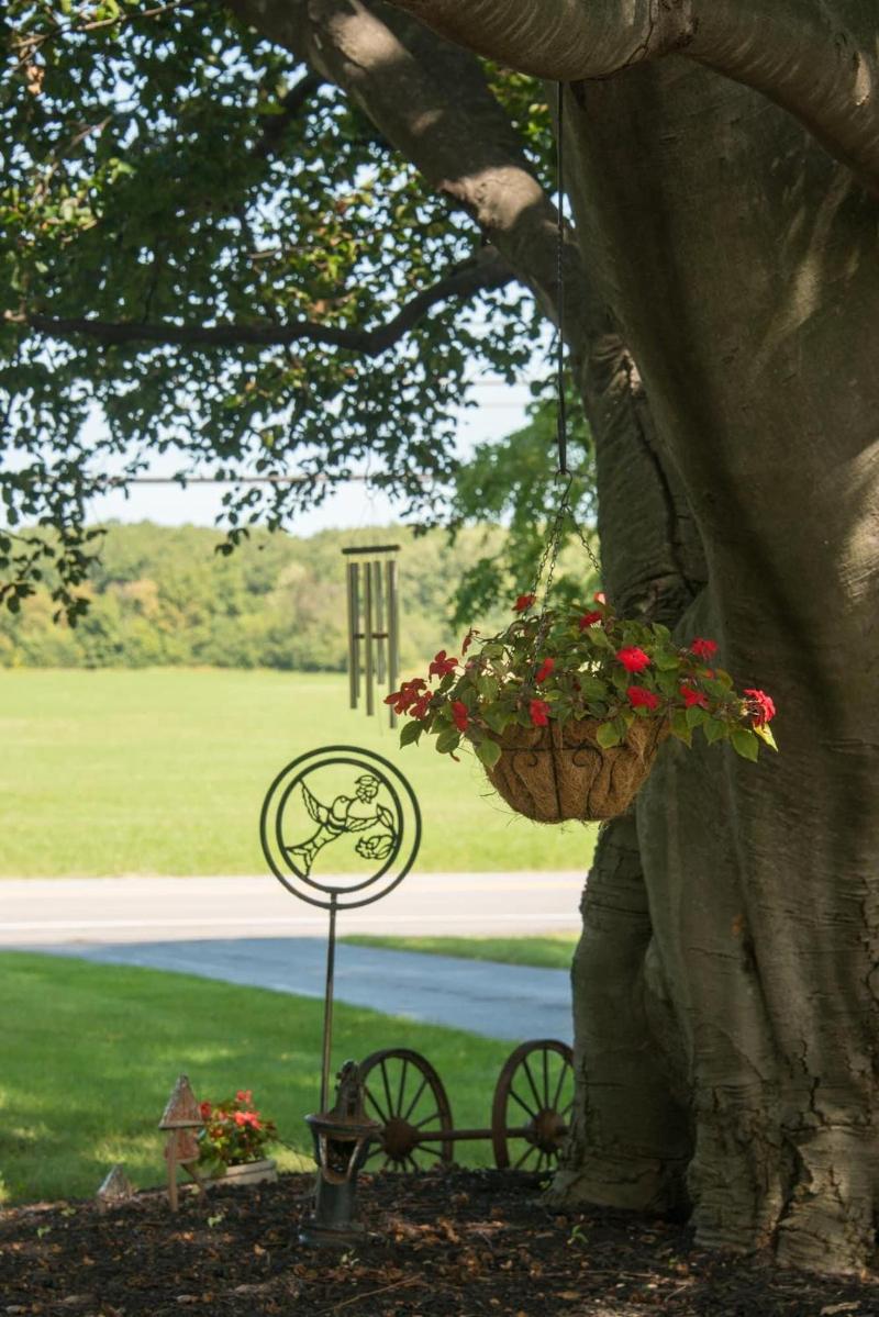 Sutherland House Victorian Bed Breakfast image