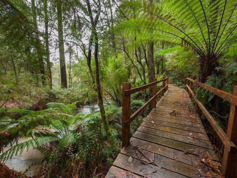The Source Otways image