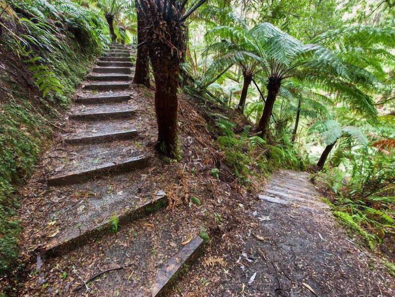 The Source Otways image