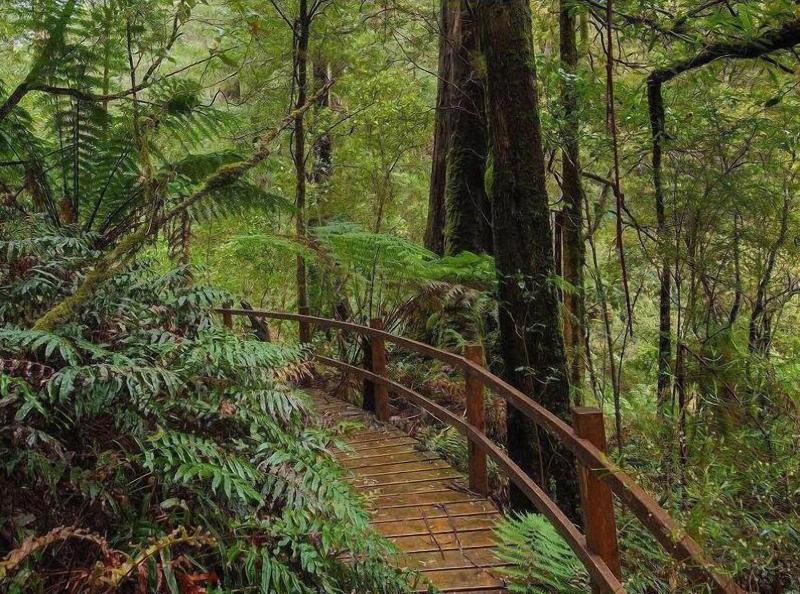 The Source Otways image