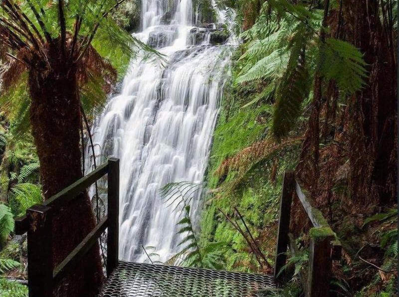 The Source Otways image