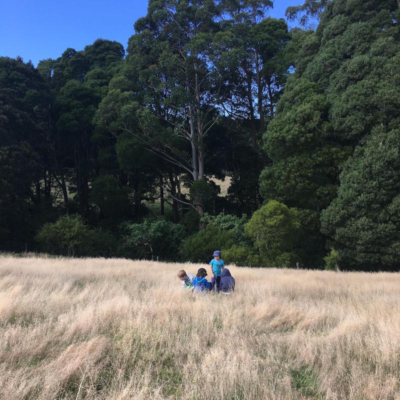 The Source Otways image